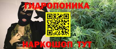 винт Донецк